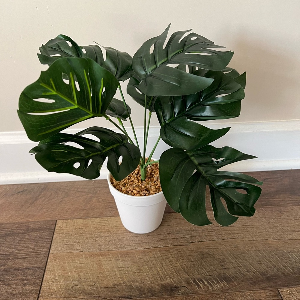 Fake Plant